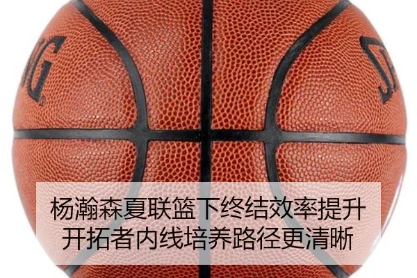 杨瀚森夏联篮下终结效率提升 开拓者内线培养路径更清晰